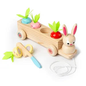 Factory Wooden Children Toys 3 in 1 Animal Fruit Cutting Early Education Block Toys Radish Rabbit Pull Push Car Kids Puzzle Toys