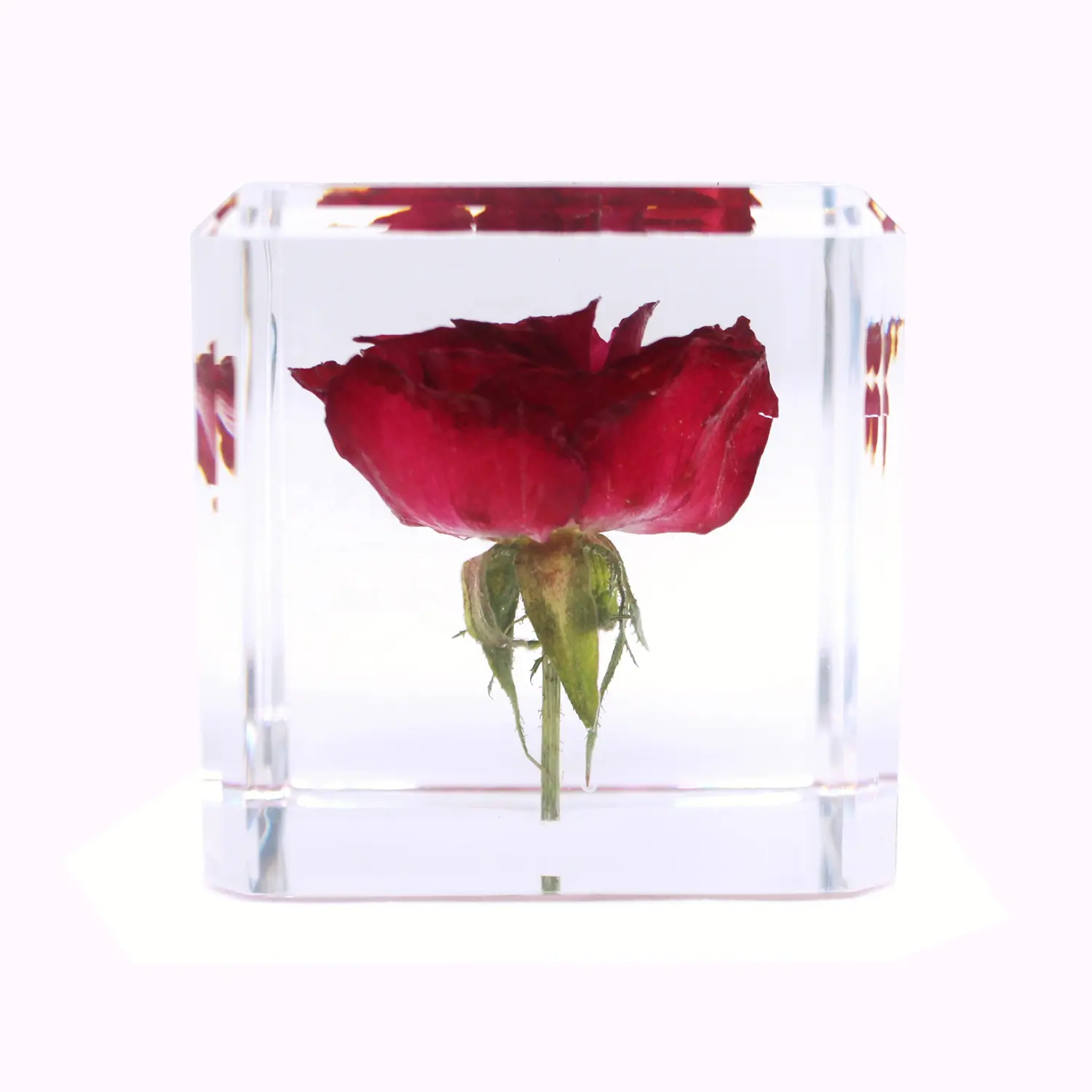 Bất Red Rose Flower Epoxy Resin Craft Cho Trang Trí Nội Thất Trong Cube Trang Trí Đám Cưới 60*60*60Mm