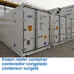 Marine Deep Freezer Container -60°C Ultra-Low Temperature Reefer Container - Product Image 3