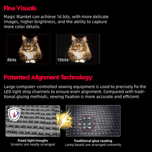 Écran d'affichage LED magique en forme de tapis, <span class=keywords><strong>film</strong></span> transparent flexible pour publicité d'événements en extérieur, produit d'affichage LED innovant - Product Image 4