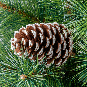 Co-Arts PE 4 pies Artificial Mini árbol de Navidad en maceta con piñas - Product Image 4