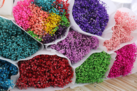 Bouquet de fleurs séchées romantiques pour femmes, fleurs préservées, gypsophile séchée, vente en gros