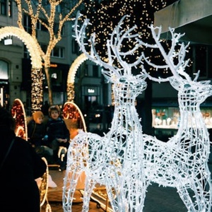 2025 Hot người bán thương mại 3D Đèn Led ngựa/Chuột/rồng điêu khắc với PVC động vật cho ngoài trời/đám cưới/lễ hội trang trí - Product Image 6