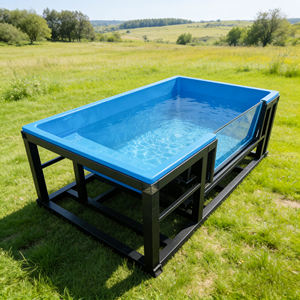 Mini piscina moderna de acrílico con estructura metálica para terraza y balcón, piscina con ventana transparente. - Product Image 3