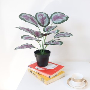 <span class=keywords><strong>Petit</strong></span> <span class=keywords><strong>Bananier</strong></span> Artificiel - Faux <span class=keywords><strong>Bananier</strong></span> du Voyageur avec de Grandes Feuilles pour la Décoration Intérieure - Product Image 5