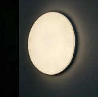 Lampe LED sans ombre Edgelight moderne pour musée, tailles personnalisées, acrylique durable, diamètre 300 mm, garantie 2 ans, intensité réglable, pour bureau et supermarché