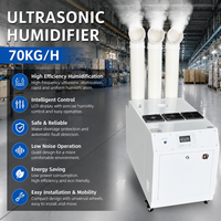 Humidificateurs ultrasoniques haute capacité 70 kg/h pour champignons et entrepôts, idéaux pour l'industrie et les magasins
