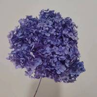 Fabrikpreis Echte Konservierte Weiße Hortensien-Stiele Getrocknete Blumen Langlebig 3-5 Jahre Elegant Hochzeit Chinesisches Neujahr