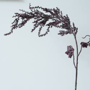 Decoración del hogar preservada blanqueada Misty Enternal mar lavanda Limonium inmortal para arreglo floral - Product Image 5