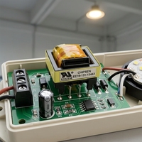 Redresseur HVDC 220V/110V 400 Watt PCB Bobinage en cuivre AC/DC 100W/12V Transformateur LED Convertisseur à découpage SMPS Transformateurs