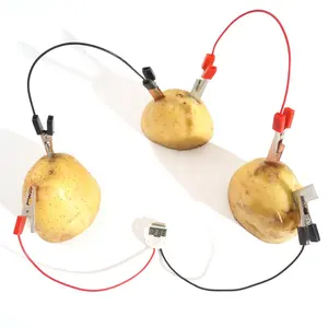 DIY fruit batterij voor kleuterschool voorschoolse leermiddelen elektronische