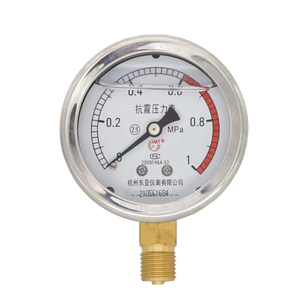 Dongya เครื่องวัดความดัน YN60 0-1.6Mpa เครื่องวัดแรงดันน้ำมันไฮดรอลิกแบบเรเดียล - Product Image 1
