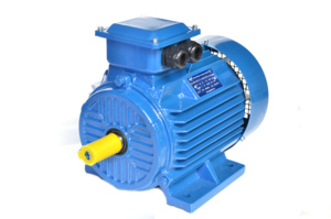 Moteur asynchrone triphasé sans balais Y2-180M-4 18,5 kW 25 CV 380 V 400 V 1500 tr/min 380 400 V 50 Hz - Product Image 1
