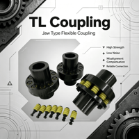 Accouplement rigide en acier SFS avec boulon TL, couple élevé, excellente performance élastique, personnalisation OEM, non standard, garantie 1 an