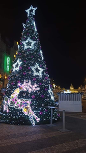 8-30ft pra-pengapian desain pemrograman, perubahan pencahayaan, Hari Natal dekorasi luar ruangan, bingkai besi, mewah pohon Natal - Product Image 4