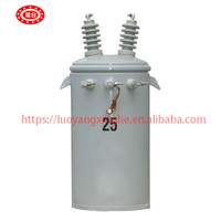 Transformador Monofásico Xinghe de 75 kVA, 100 kVA, 375 kVA, Entrada de 7.2 kV, 50/60 Hz, IEC60076, Refrigerado por Aceite, Montado en Poste, Precio