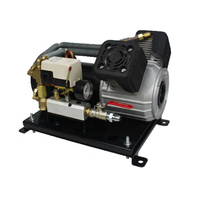 Pompe compresseur d'air à double piston à suspension pneumatique professionnelle sans huile 48V DC résistant aux intempéries à haute efficacité et à long cycle de service