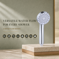 Pommeau de Douche Portable Réglable à Bouton-Poussoir en Plastique ABS, Finition Chromée, Design Moderne pour Hôtels, Ensemble Combiné 3 Fonctions