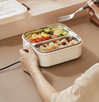Boîte à lunch électrique en acier inoxydable chauffe-plats portable chauffe-aliments rechargeable auto-chauffant boîte à lunch électrique
