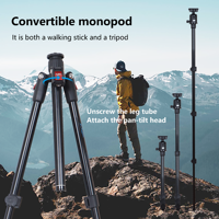Trépied professionnel en aluminium pour appareil photo avec rotule, support flexible pour caméra vidéo numérique, monopode de voyage