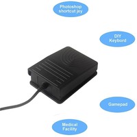 Adaptateur USB pour clavier et souris préprogrammés, avec commande au pied USB, pour jeux PC, multimédia informatique et affichage d'images d'échographie