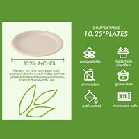 Assiette en bagasse de canne à sucre à 3 compartiments de 10 pouces, biodégradable, compostable, jetable, pour la vente en gros