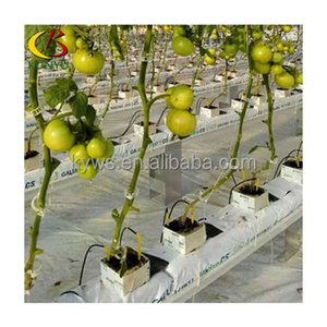 Système de culture en <span class=keywords><strong>gouttière</strong></span> pour la production en serre, bac à substrat hydroponique pour les fraises - Product Image 1