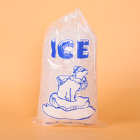 Sacs à glace jetables transparents en PE de qualité alimentaire avec cordon de serrage, tailles personnalisables, impression sérigraphique, vente en gros pour fabricants