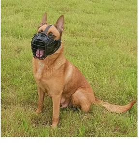 <span class=keywords><strong>Bozal</strong></span> <span class=keywords><strong>Pitbull</strong></span> Ajustable-Acero Inoxidable Y <span class=keywords><strong>Cuero</strong></span> Anti-Mordida <span class=keywords><strong>Para</strong></span> Perros Agresivos, <span class=keywords><strong>Bozal</strong></span> <span class=keywords><strong>De</strong></span> Entrenamiento Transpirable Duradero - Product Image 1