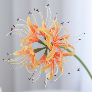 Flores Artificiales <span class=keywords><strong>Lycoris</strong></span> <span class=keywords><strong>Radiata</strong></span>, Lirio Araña Rojo Simulado, Hecho a Mano, Suave, para Decoraciones de Bodas, Decoración de Hoteles, Fotografía - Product Image 4