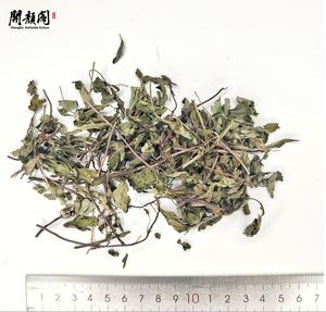 Macchina per tisane KAIYANGE alla menta canadese alla menta giapponese MENTHA CANADENSIS PIPERASCENS malSingle HOLMES tè Mentha canadensis - Product Image 2