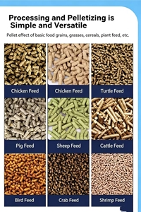 Machine à granulés d'aliments pour animaux 400-500 kg/h pour le traitement du maïs / de la paille / des céréales, utilisation agricole avec <span class=keywords><strong>moteur</strong></span> triphasé - Product Image 3
