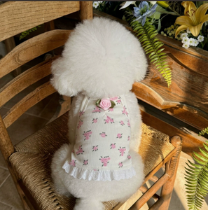 Nuevo Vestido de Verano para Mascotas, Estilo Coreano, Ropa Fresca para Perros, para Teddy, Bichón, <span class=keywords><strong>Maltés</strong></span>, Perros Pequeños y Medianos - Product Image 4