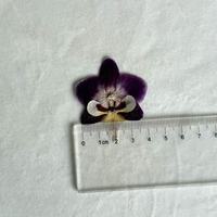 Bunga Phalaenopsis Kering Ukuran Kecil 3.5-4cm, Tren Terbaru, untuk Kerajinan Tangan DIY