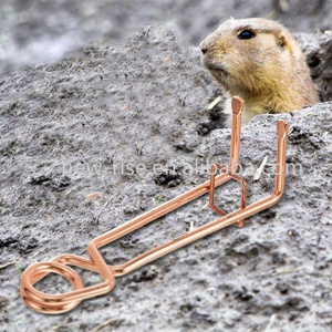 Ngoài Trời Dễ Dàng Thiết Lập Snap <span class=keywords><strong>Mole</strong></span> Bẫy Đồng <span class=keywords><strong>Mole</strong></span> Kiểm Soát Bẫy An Toàn Hiệu Quả Ngầm Mùa Xuân Bẫy - Product Image 2