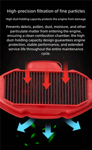 Filtro Aria Moto ad Alto Flusso Compatibile con CF Moto 800 <span class=keywords><strong>NK</strong></span> <span class=keywords><strong>P</strong></span>-CF8N23-01 CF800-7 CF800-7F 0PWV-112000-1000 Lavabile Riutilizzabile - Product Image 6