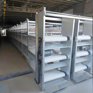 Satılık hayvan kanatlı hayvancılık ekipmanları Broiler tavuk kafesi - Product Image 5