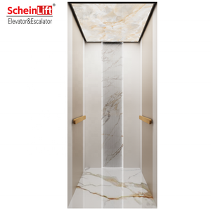 Nuevo Ascensor Residencial de Acero en Color, 250 kg, 0.4 m/s, Acero Artístico Gris Moderno con Acabado en Cuero Caqui y Suelo de Mármol - Favorito de las Villas Modernas - Product Image 1