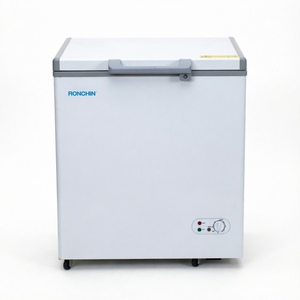 Congélateur coffre 12V 100 litres à zone unique à commande mécanique, direct usine, pour usage domestique et commercial LP-110 à refroidissement direct - Product Image 1
