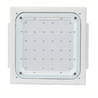 5 Yıl Garantili 100W 150W 200W IP66 Yüksek Parlaklıklı LED Benzin İstasyonu Tavan Lambası