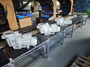 Pompe de piscine haute pression Pentair pour eau de mer, standard, avec support OEM personnalisable - Product Image 6