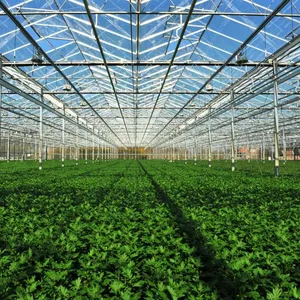 2024 Горячая продажа сельскохозяйственная стеклянная теплица сделано в Китае