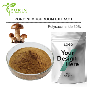 Polvo de Hongo <span class=keywords><strong>Boletus</strong></span> Edulis de Alta Calidad, Polisacárido 30%, Extracto de Hongo Porcini - Product Image 3