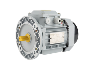 고품질 0.55kw 0.75kw 모터 삼상 비동기 모터 OEM 맞춤 저가 중국산 정속 IE 2 50/60hz - Product Image 3