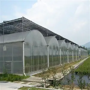 Fuma supplier muti-span greenhouse with shading system