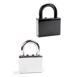 Candado de alta calidad de Israel, candado de fabricante, candado de hierro sólido con logotipo personalizado de alta seguridad - Product Image 1