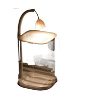 Aquarium de bureau pour betta, verre ultra transparent, petit aquarium avec éclairage LED pour la décoration de la maison, du bureau ou de la table