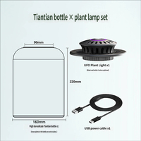 Ensemble de terrarium en verre borosilicate en forme de goutte d'eau avec éclairage pour plantes, récipient micro-paysager transparent pour plantes en mousse - Vente en gros