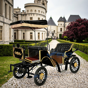 Carruaje Real Clásico de Lujo Negro Personalizado de Alta Gama con Aire Acondicionado/Carruaje Eléctrico Europeo para Turismo - Product Image 2
