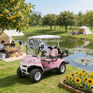 Voiturette de golf classique 4 places électrique pour sites touristiques et centres de villégiature – Vente directe usine - Product Image 1